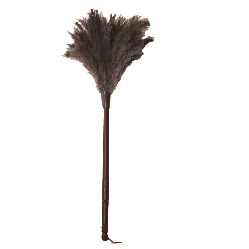 گردگیر مدل ۰۲ feather world