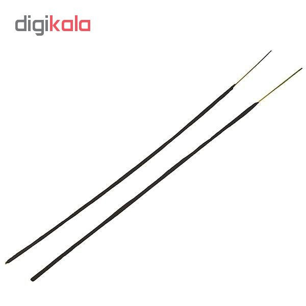 عود بیک مدل African Lions کد 555- 12 بسته 20 عددی تک فروشی به قیمت عمده - کرایه در مقصد
