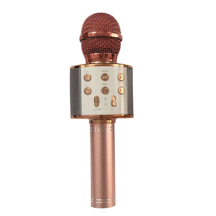 میکروفون اسپیکر مدل WS-858